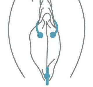 Best of The vertical clit hood vaginal piercing vertical piercing hood vaginal The clit